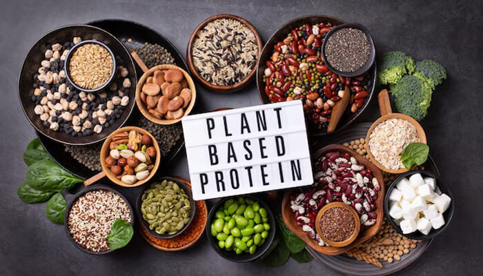 Plant-Based High Protein Snacks including beans, seeds, lentils, broccoli, tofu, and grains arranged around a sign.