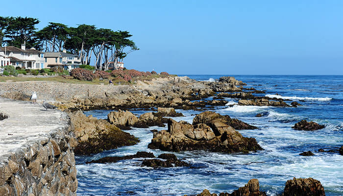 Scenic view of the rocky coastline in Monterey, California, featuring ocean waves crashing against rugged rocks, coastal homes, and windswept cypress trees under a clear blue sky.