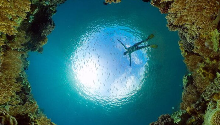 Diver exploring The Great Blue Hole Belize, surrounded by vibrant coral formations and schools of fish illuminated by sunlight from above.