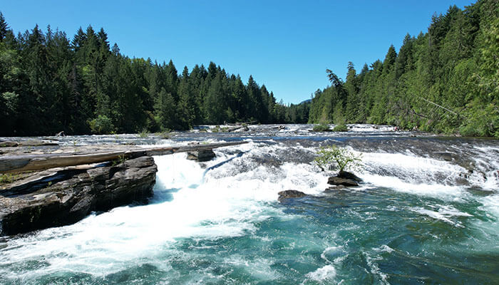 Beautiful river and small waterfalls surrounded by lush green forest under clear blue sky in British Columbia, Canada.