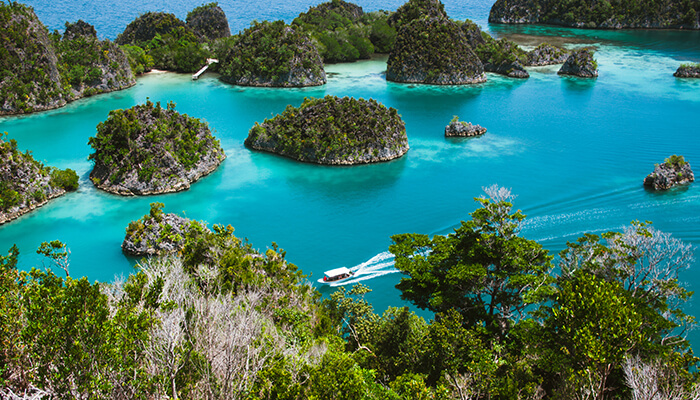 A picturesque aerial view of the Raja Ampat Islands in Indonesia, showcasing crystal-clear turquoise waters and lush green islands.