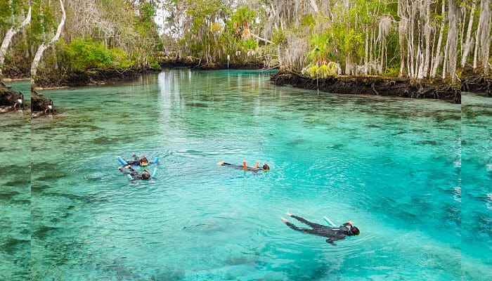 Crystal River - Food Fun Trip - FoodFunTrip Snorkelers exploring the clear waters of Crystal River, surrounded by lush trees and serene landscapes