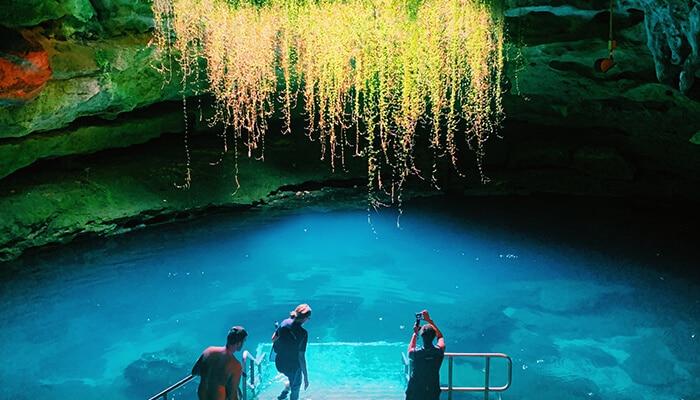 Devils Den Prehistoric Spring - Food Fun Trip - FoodFunTrip Visitors descending into the blue waters of Devil’s Den Prehistoric Spring, surrounded by lush greenery and cave walls