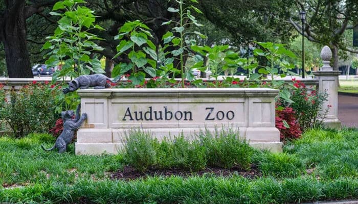 Explore the Audubon Zoo - Food Fun Trip - FoodFunTrip The entrance sign to the Audubon Zoo in New Orleans, a family-friendly attraction offering a fun day out for all ages