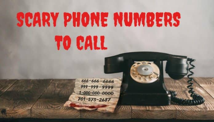 Scary Phone Numbers displayed on paper next to a vintage phone with the text 'Scary Phone Numbers to Call' in bold red font.