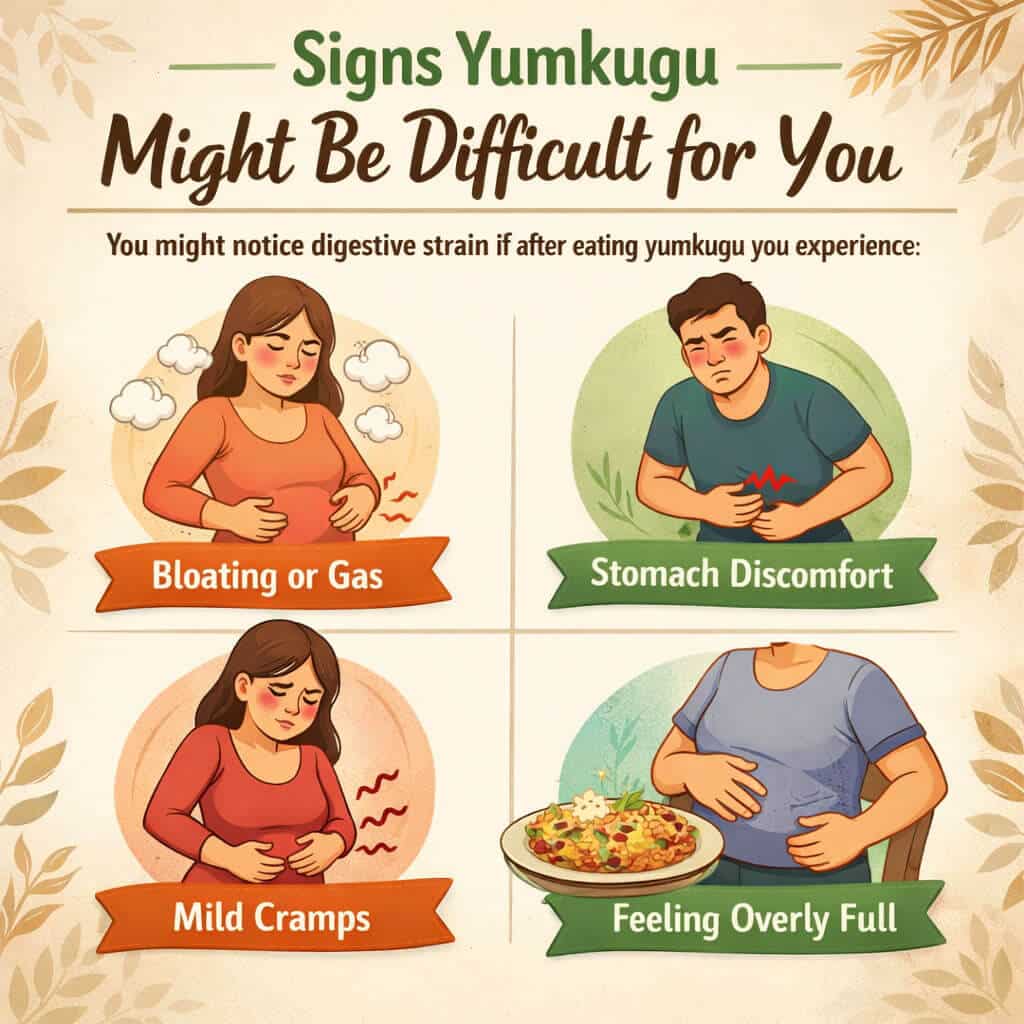 Signs Yumkugu Might Be Difficult for You - Food Fun Trip - FoodFunTrip Is Yumkugu difficult to digest? Signs of digestive strain including bloating, stomach discomfort, mild cramps, and feeling overly full.