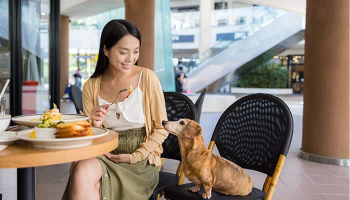 Best Dog Friendly Restaurants - Food Fun Trip - FoodFunTrip Young woman dining with her dog at a cozy outdoor NYC cafe, showcasing the Best Dog Friendly Restaurants NYC experience.