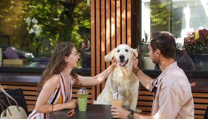 A smiling couple at an outdoor cafe pet a golden retriever between them, with iced drinks on the table.
