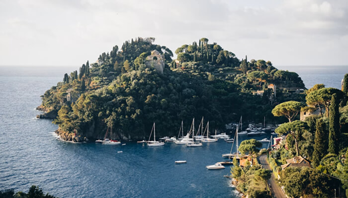 Connection with Nature and Tranquillity - Food Fun Trip - FoodFunTrip Forest-covered island with a harbor of moored sailboats along a rocky coastline