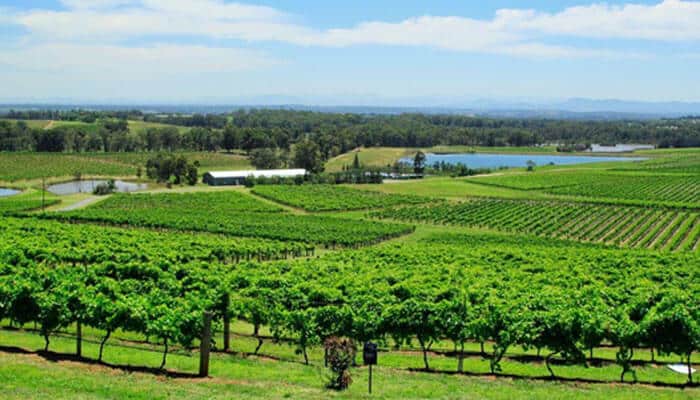 How Do You Plan a Food-Focused Road Trip - FoodFunTrip A vineyard and wine tasting in Australia