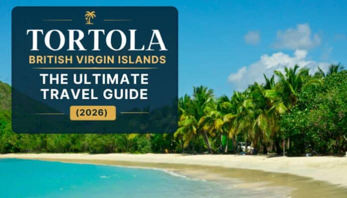 Pristine sandy beach and turquoise waters in Tortola British Virgin Islands showcasing lush palm trees and a tropical coastline in the ultimate 2026 travel guide image