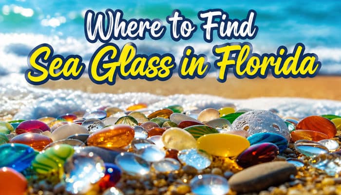 Where to Find Sea Glass in Florida - Food Fun Trip - FoodFunTrip Glass Pebble Beach Florida inspired shoreline displaying colorful ocean-polished sea glass along Florida's coast, representing the best locations for beachcombing, low-tide sea glass hunting, and naturally tumbled coastal treasures on the Gulf Coast.