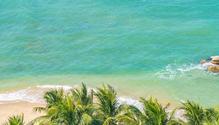 How to Choose Beaches in Puerto Rico for Your Trip - Food Fun Trip - FoodFunTrip Scenic Beaches in Puerto Rico with turquoise Caribbean water, a sandy tropical shoreline, gentle waves, and lush palm trees, showcasing the island’s coastal beauty.